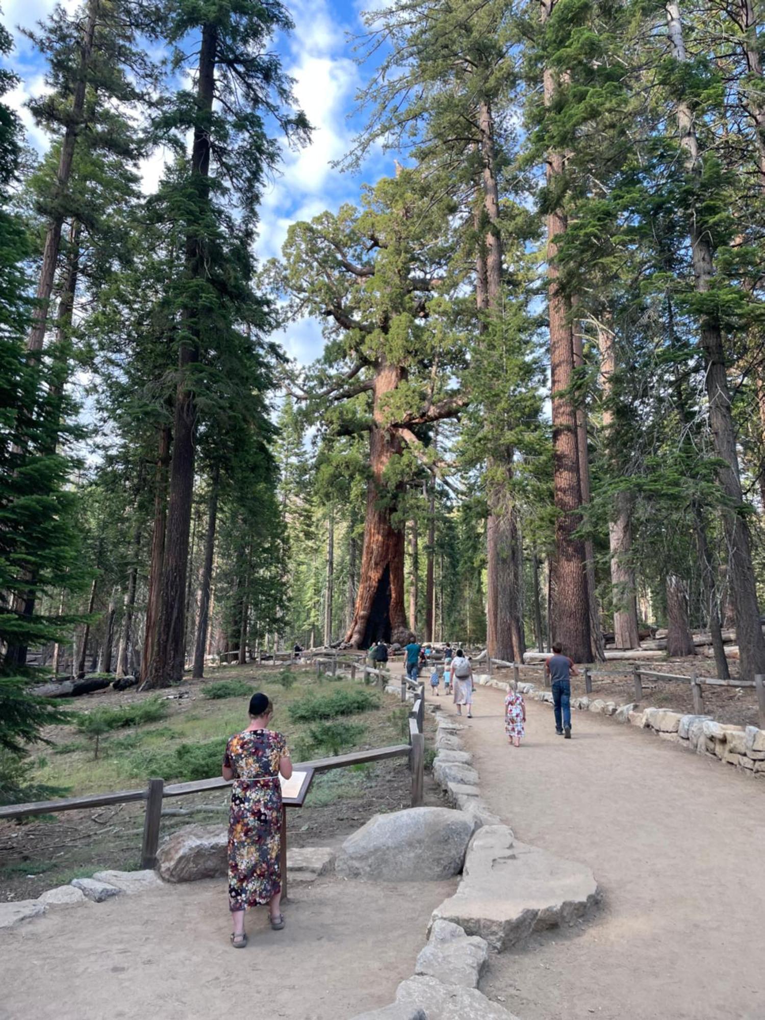 Stewart Chalet @ Yosemite/Bass Lake Luaran gambar